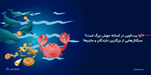 آیا بیت کوین در آستانه جهش بزرگ است؟ سیگنال‌هایی از نهنگ‌ها و ماینرها!